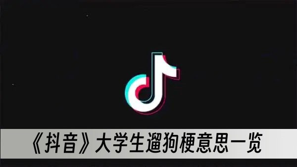 抖音大学生遛狗梗意思一览