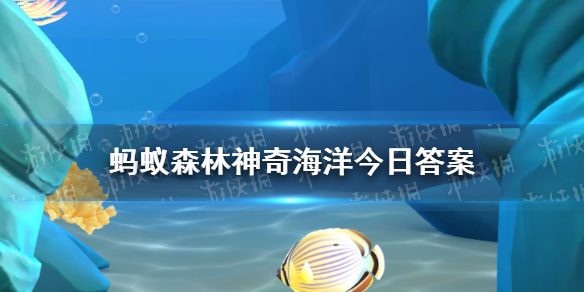 寿命最长的珊瑚鱼类是什么鱼？支付宝神奇海洋7.17答案