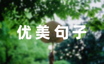 写秋雨的优美句子精选40句