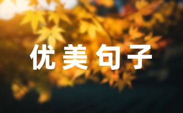 春雨优美的句子(精选40句)