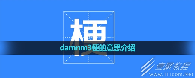 damnm3梗是什么意思