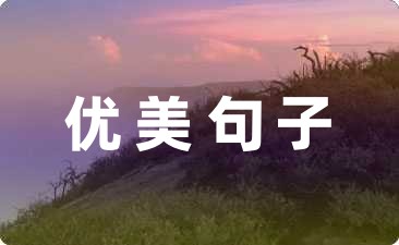 梨花的优美句子适合发朋友圈(精选49句)