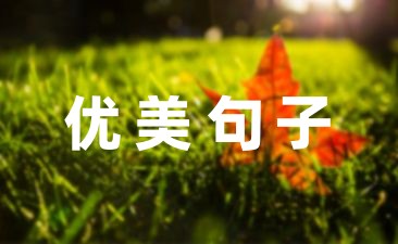 发朋友圈风景优美的句子(摘录58句)