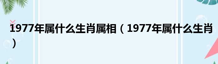 1977年属什么生肖属相