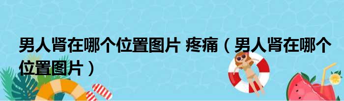 男人肾在哪个位置图片 疼痛