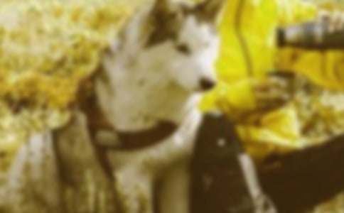 关于和谐的标语