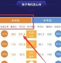 智学网成绩在线查询入口 智学网登录入口2025最新版(等级划分标准)