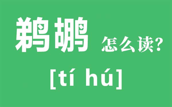 鹈鹕读音是什么 鹈鹕属于什么鸟类 它与鸬鹚有何不同