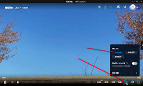 百度视频自动播放下一集怎么设置-教你轻松开启百度视频自动播放功能